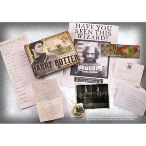 Harry Potter: Artefact Box Harry Potter 