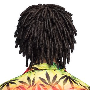 Levi Dreadlocks 