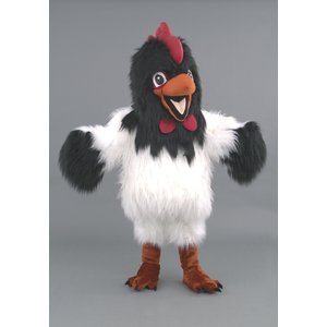 Il Pollo Polly 