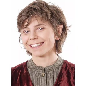 Orecchie in lattice: Mezzelfo