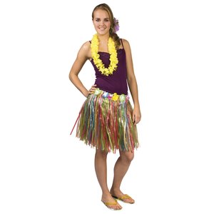 Hawaii Hula - Regenbogen