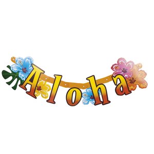 Aloha Hawaii