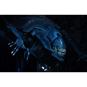 Aliens: Xenomorph Queen