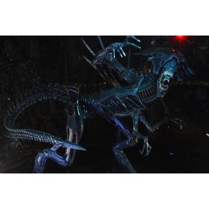 Aliens: Xenomorph Queen