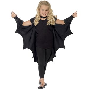 Chauve-souris - Vampire 