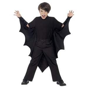 Chauve-souris - Vampire 