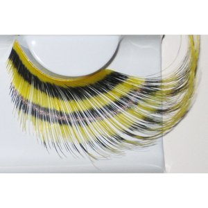 Plumes jaunes avec rayures noires horizontales