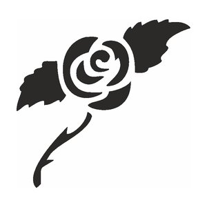 Rosa