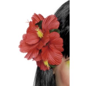 Hawaï - Fleur 