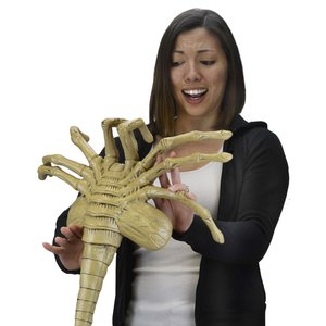 Aliens réplique mousse 1/1 Facehugger 105 cm