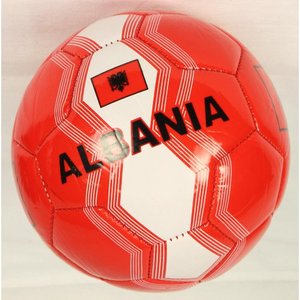 Fussball - Albanien