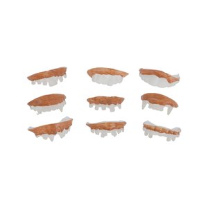 Denti - 9 Pezzi