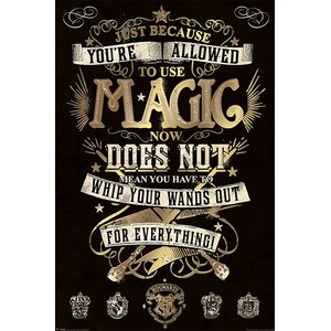 Harry Potter: Magic