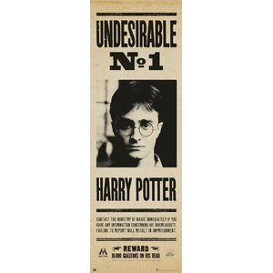 Harry Potter: Undesirable No. 1