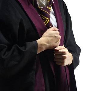 Harry Potter: Gryffondor