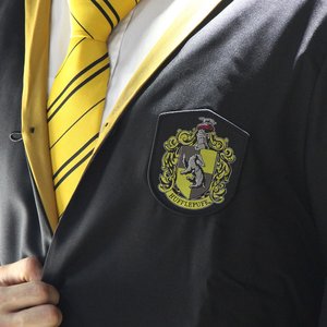 Harry Potter: Hufflepuff