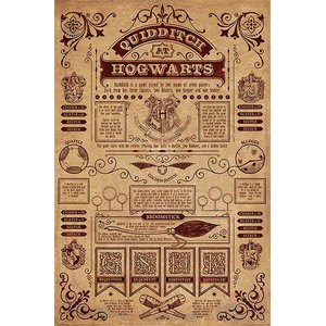 Harry Potter: Quidditch at Hogwarts
