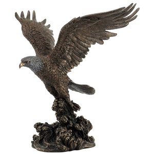 Aquila