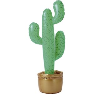 Cactus gonflable