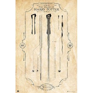 Harry Potter: The Wand