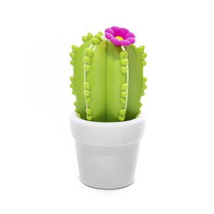 Kaktus mit Blume 