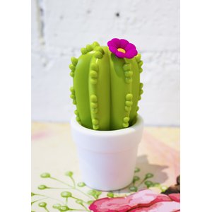 Cactus avec fleur 