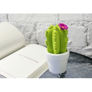 Cactus avec fleur 