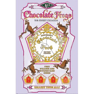 Harry Potter: Chocolate Frogs