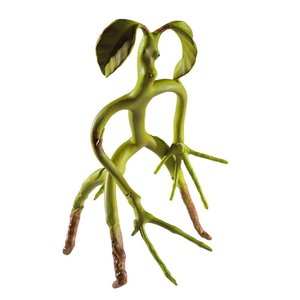 Phantastische Tierwesen: Bowtruckle