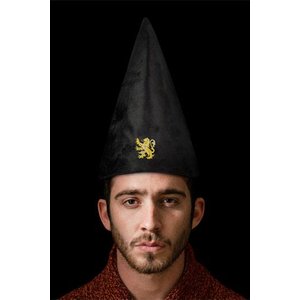 Harry Potter: Chapeau de sorcier Gryffindor