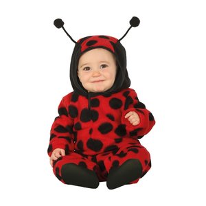 Coccinelle petit