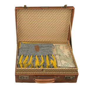 Animali fantastici: Valise Newt Scamander 1/1