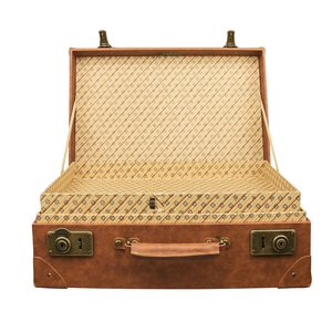 Animali fantastici: Valise Newt Scamander 1/1