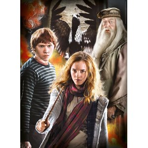 Harry Potter: Characters - 3er Pack (je 1000 Teile)