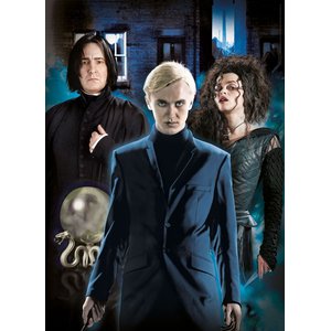 Harry Potter: Characters - 3er Pack (je 1000 Teile)