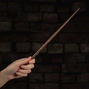 Harry Potter: Hermine's Zauberstab