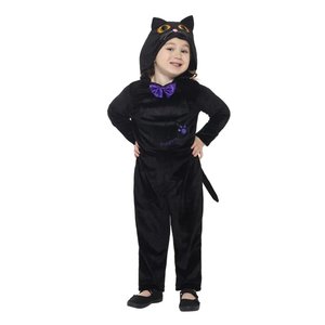 Gatto Carino