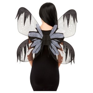 Papillon de nuit Botanique: Esra