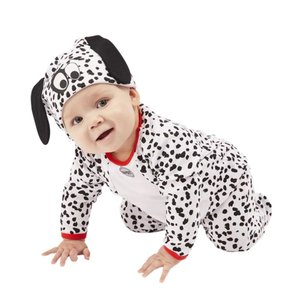 Bébé dalmatien