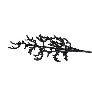 Schwarze Heide - Dekoast