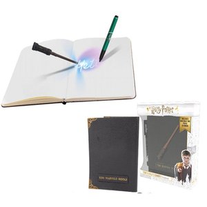 Harry Potter: Journal intime de Tom Jedusor