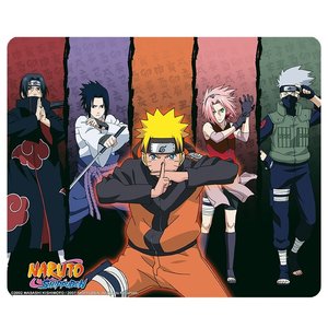 Naruto Shippuden: Gruppo Konoha