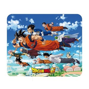 Dragon Ball: Gruppo