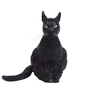 Schwarze Katze