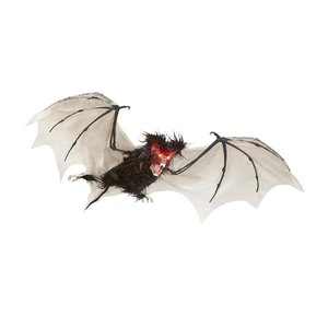 Chauve-Souris Poilue