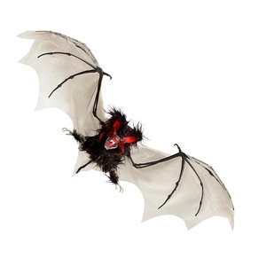 Chauve-Souris Poilue