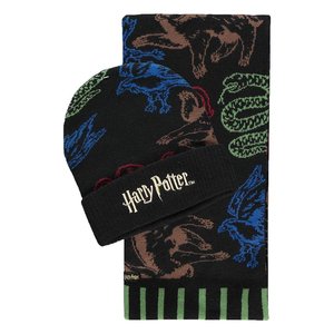 Harry Potter: Hogwarts Houses - con sciarpa