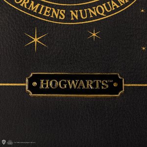 Harry Potter: Hogwarts Wappen
