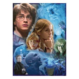 Harry Potter: Harry Potter in Hogwarts (500 pièces)
