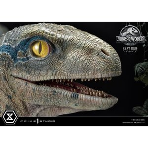 Jurassic World - Prime Collectibles: Baby Blue 1/2